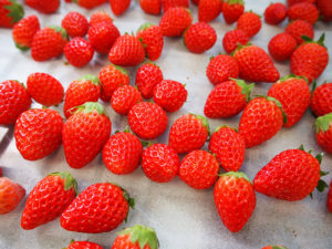 今シーズンの販売について